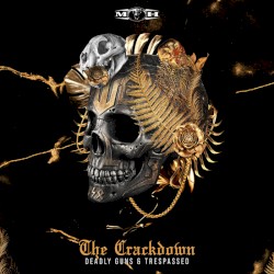 The Crackdown