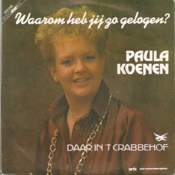 Waarom heb jij zo gelogen