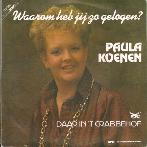 Waarom heb jij zo gelogen