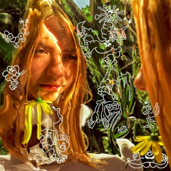 Digital Meadow