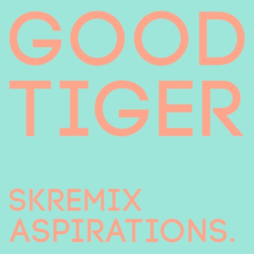 Aspirations (SK remix)