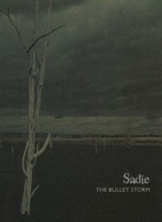THE BULLET STORM