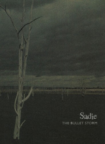 THE BULLET STORM
