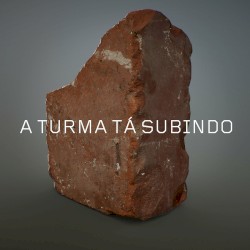 A Turma Tá Subindo