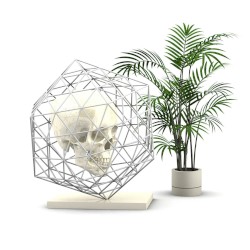 CAPITAL CUSTOMER