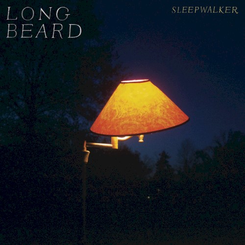 Sleepwalker
