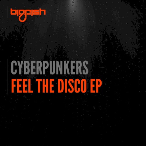 Feel the Disco EP