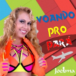 Voando pro Pará