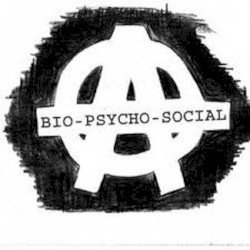 Bio‐Psycho‐Social