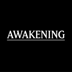 Awakening (Original Game Soundtrack)