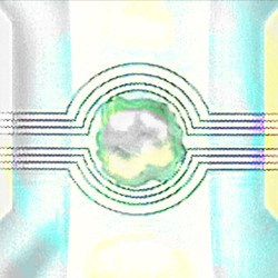 TRANS009