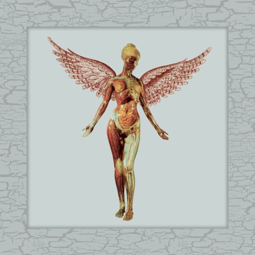 In Utero 30th Live