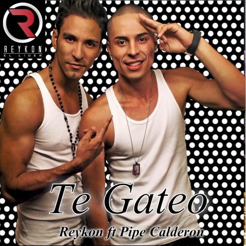 Te gateo