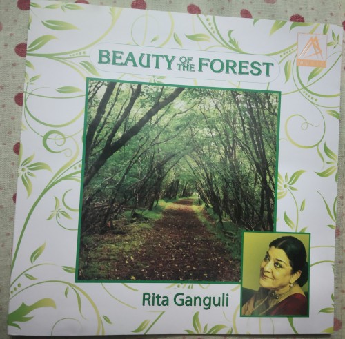 Beauty of the Forest