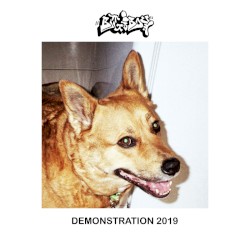 Demonstration 2019