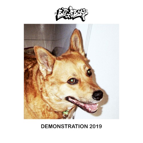 Demonstration 2019