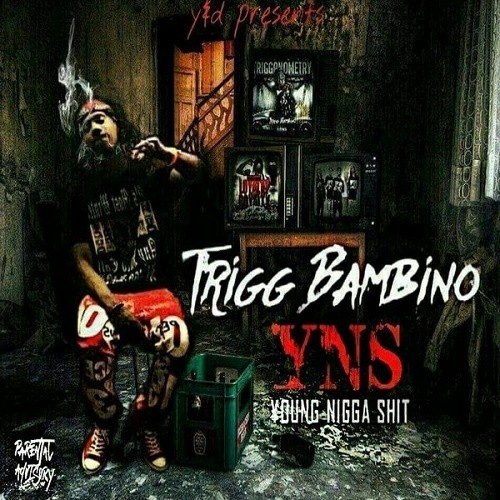 YNS: Young Nigga Shit