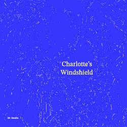 Charlotte's Windshield