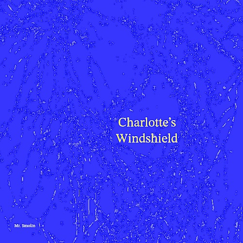 Charlotte's Windshield