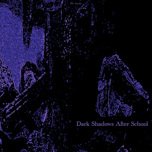 Dark Shadows After School