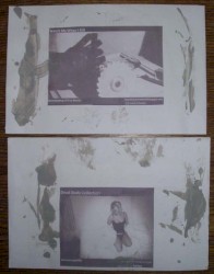 Acrotomophilia / Bloodletting (A True Story)