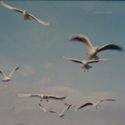 A Journey to the Sea