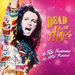 The Pete Hammond Hi‐NRG Remixes