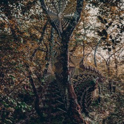 Thought catcher