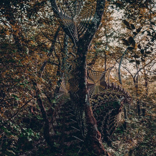 Thought catcher