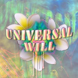 universal will