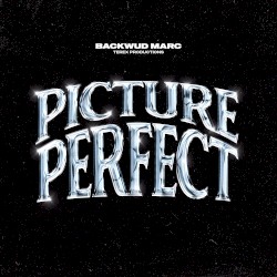 Picture Perfect