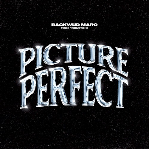 Picture Perfect