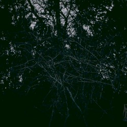 Hermetic Nightmare