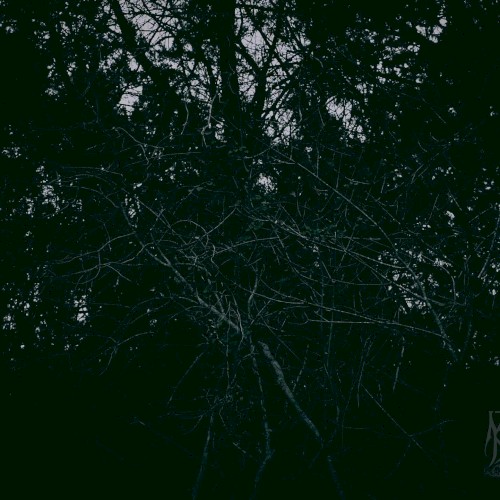 Hermetic Nightmare
