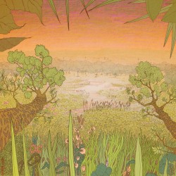Mirage on the Meadow