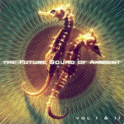 The Future Sound Of Ambient Vol I & II