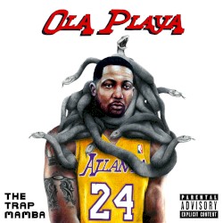 The Trap Mamba
