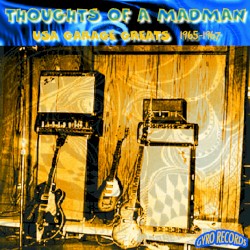 USA Garage Greats 1965-1967: Vol. 3: Thoughts of a Madman