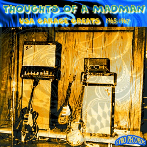 USA Garage Greats 1965-1967: Vol. 3: Thoughts of a Madman