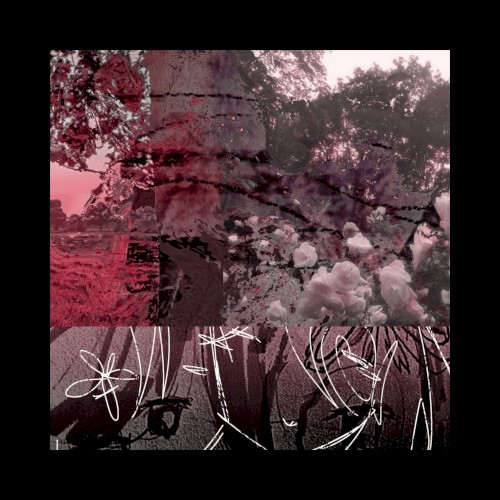 Stillburn