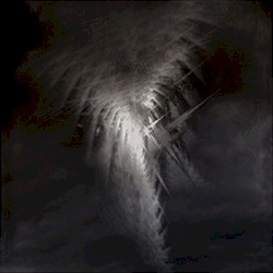 Rising up through the Fog / Song for Locusts