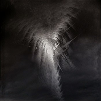 Rising up through the Fog / Song for Locusts