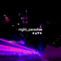 Night Paradise
