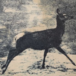 Follow the Doe / Through the Snow