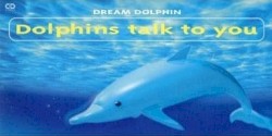 Dolphins talk to you