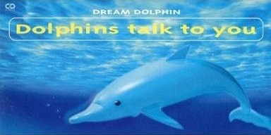 Dolphins talk to you