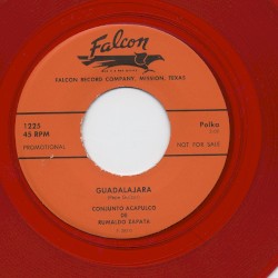 Guadalajara / Brisas del bravo