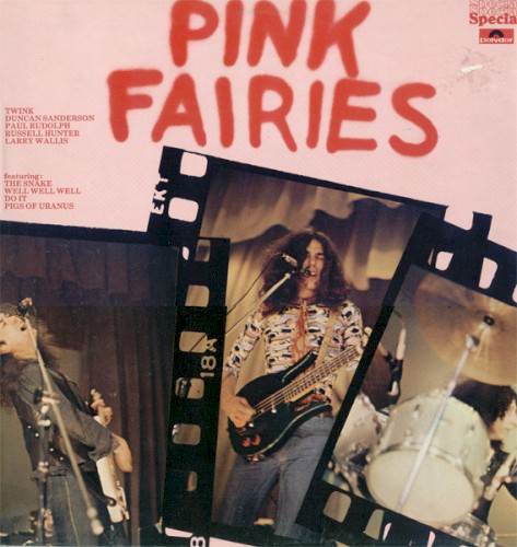 Pink Fairies