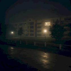 🌃