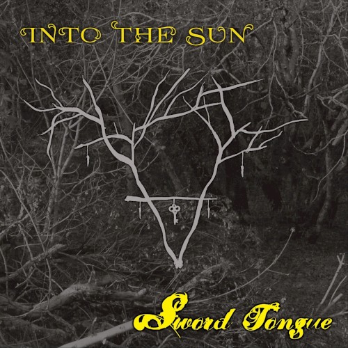 Into the Sun